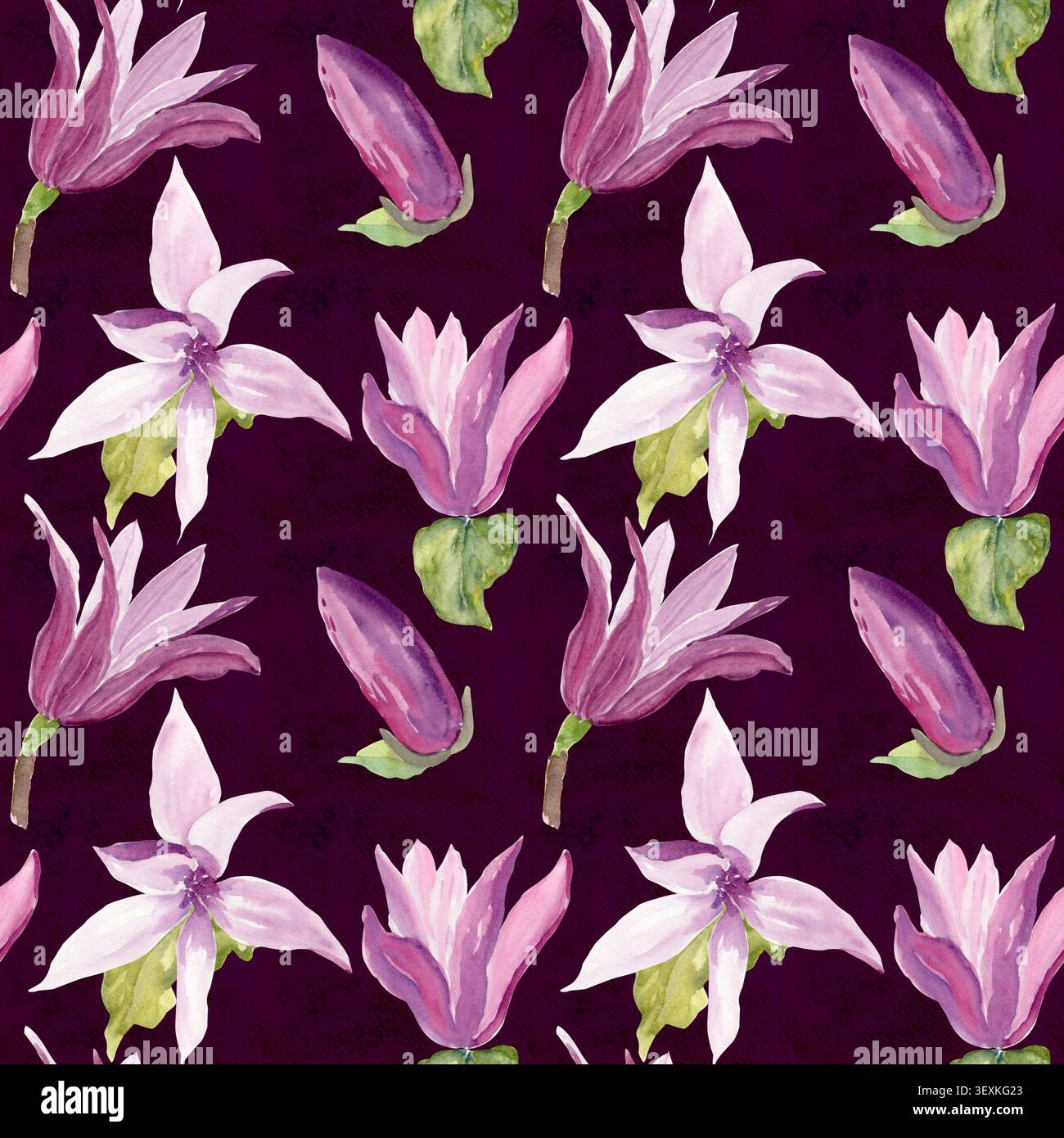 Nahtloses Aquarellmuster mit rosa Magnolienblüten, Knospen und grünen Blättern auf dunklem Hintergrund. Botanische Blumenwiederholung in sanften lila Tönen für Stockfoto