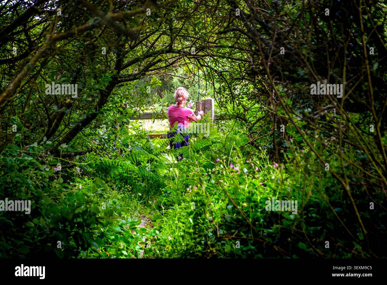 Frau auf einem Waldweg, Teil des Wales Coast Path in Pembrokeshire, Wales Stockfoto