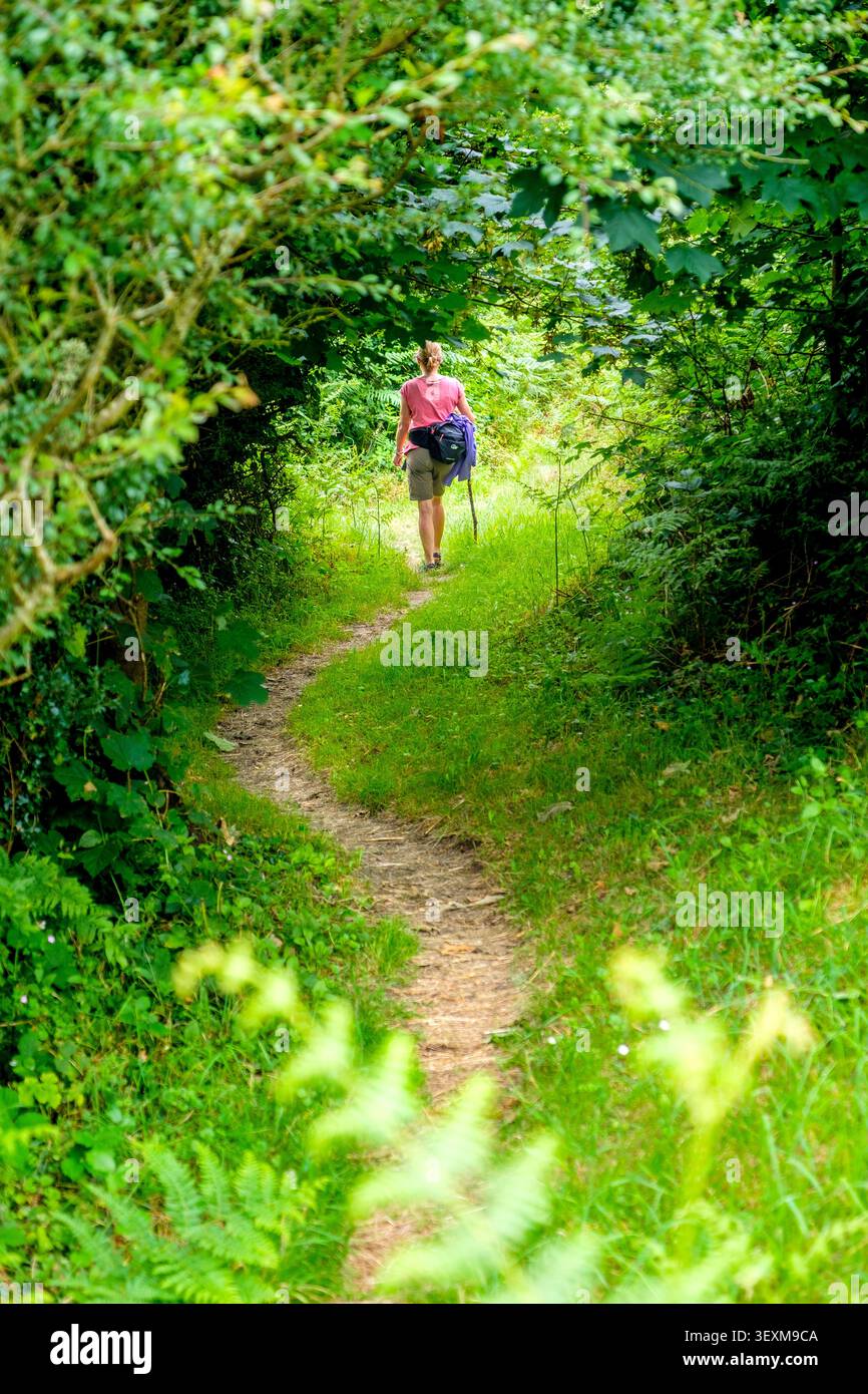 Frau auf einem Waldweg, Teil des Wales Coast Path in Pembrokeshire, Wales Stockfoto