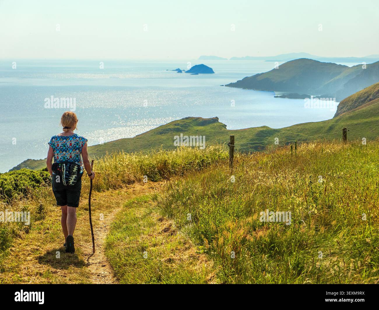Frau mittleren Alters, die an einem heißen Sommertag in der Nähe von Solva auf dem Pembrokeshire Coast Path / Wales Coast Path, Großbritannien, spaziert Stockfoto