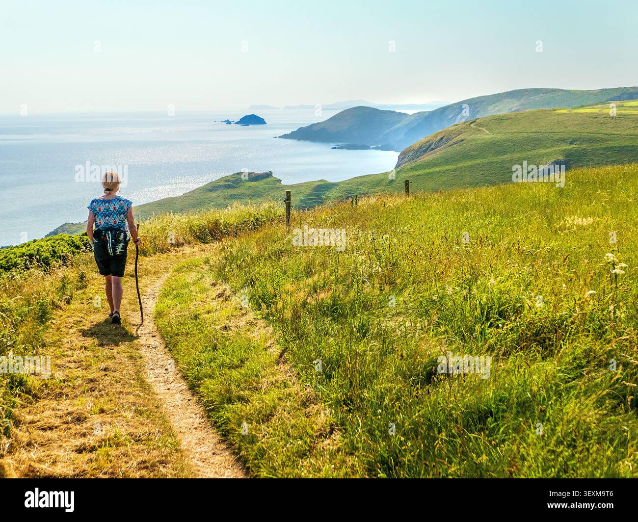 Frau mittleren Alters, die an einem heißen Sommertag in der Nähe von Solva auf dem Pembrokeshire Coast Path / Wales Coast Path, Großbritannien, spaziert Stockfoto