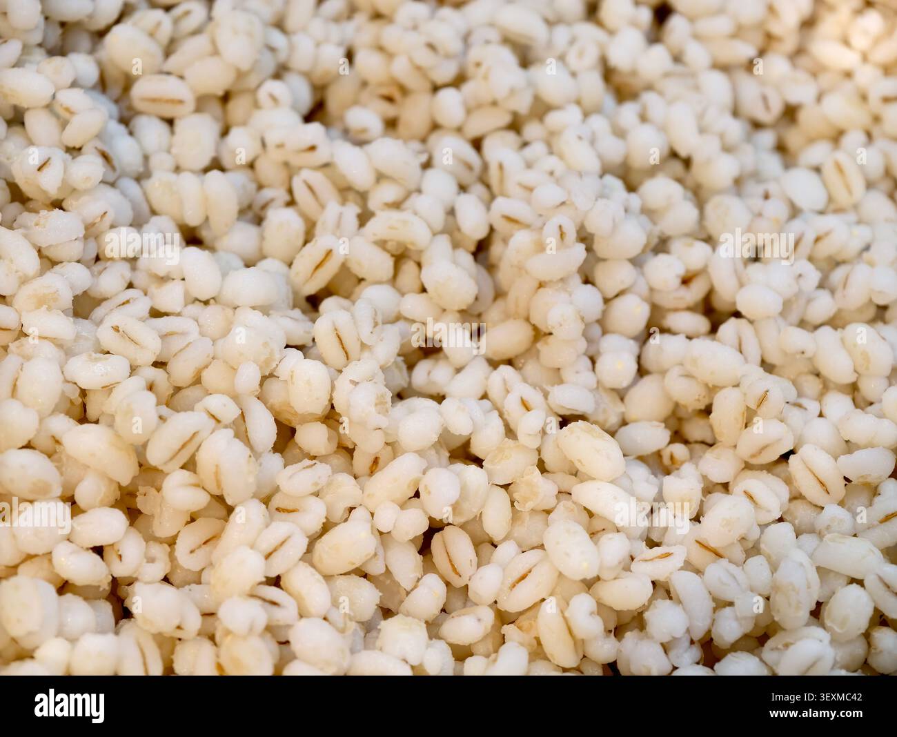 Nahtextur von gekochten weißen Gerstenkörnern gesundes Essen Stockfoto