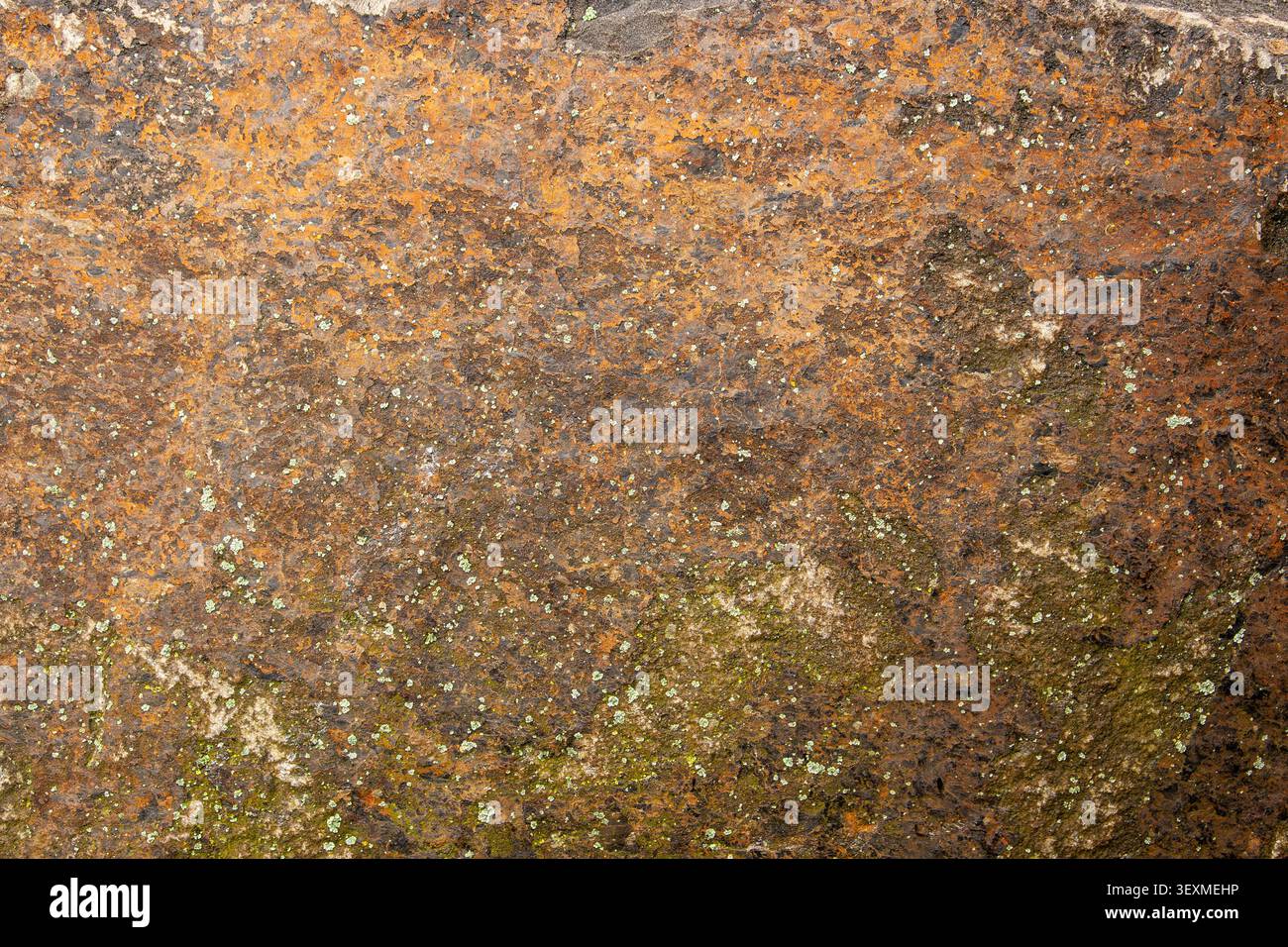 Eine raue, körnige Basaltsteinoberfläche zeigt warme orange und braune Mineralienfärbungen mit Flecken aus grünem Flechten und Moos, die ein natürliches, kaltes Wasser erzeugen Stockfoto