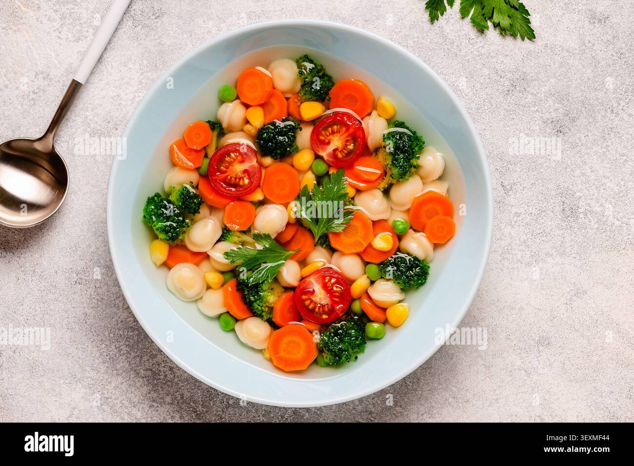 Hausgemachte Suppe mit Miniknödeln und Gemüse. Stockfoto