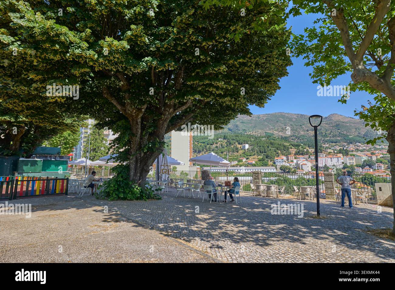 Café im Freien unter großen Bäumen mit Blick auf die Berge. Covilha, Portugal - 22. Juni 2025. Stockfoto