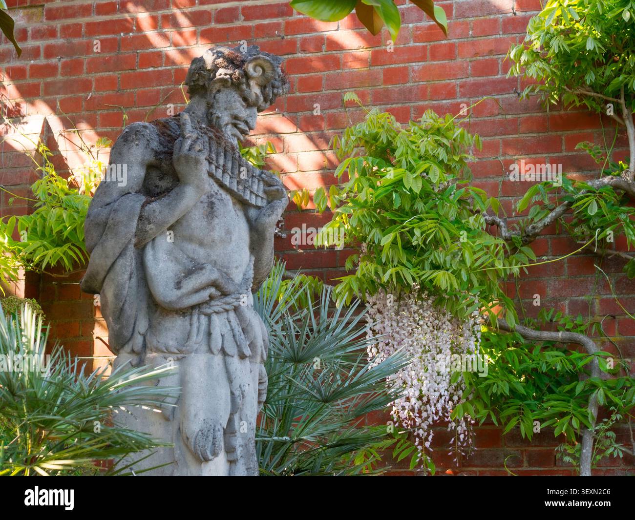 Pan-Statue im Wisley RHS Gardens mit Glyzinien und rotem Backsteinmauer-Hintergrund RHS Wisley Gardens Surrey UK Stockfoto