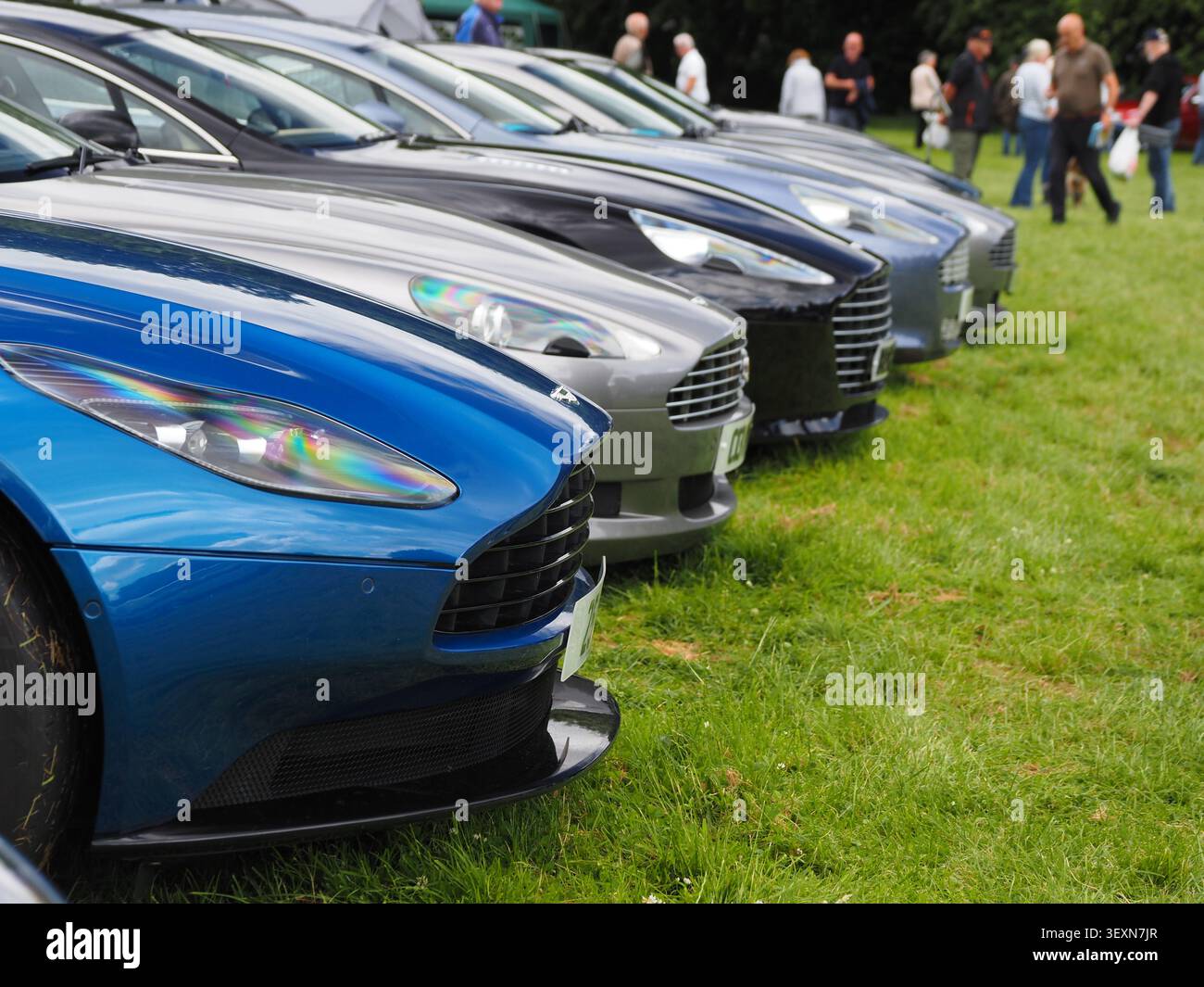 Juni 2026: Nahaufnahme des glänzenden Aston Martins mit Nasendetails während der Moffat Classic Car Rally, einem erstklassigen Oldtimer-Event Stockfoto