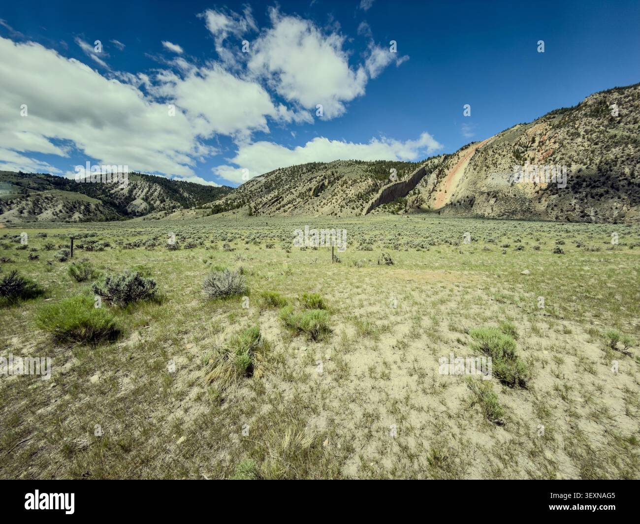 In einem Tal in der Nähe des Nordeingangs von Yellowstone liegt ein spärlicher Sagebrush-Punkt mit sandigem Boden; dramatisch erodierte Felshänge erheben sich unter einem teilweise bewölkten blauen Himmel. Stockfoto
