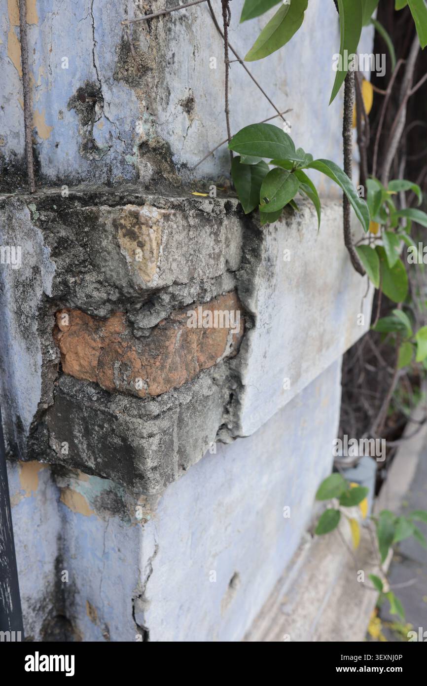 zeigt abgeplatzten Putz, der das darunter liegende Ziegelmauerwerk freilegt, unter abblätternder blauer, beiger und weißer Farbe in einer Wand Ecke. Stockfoto