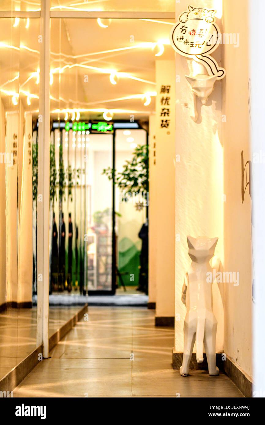 Gemütlicher katzenmotivierter Ladenflur in Changsha mit einer weißen Katzenstatue Stockfoto