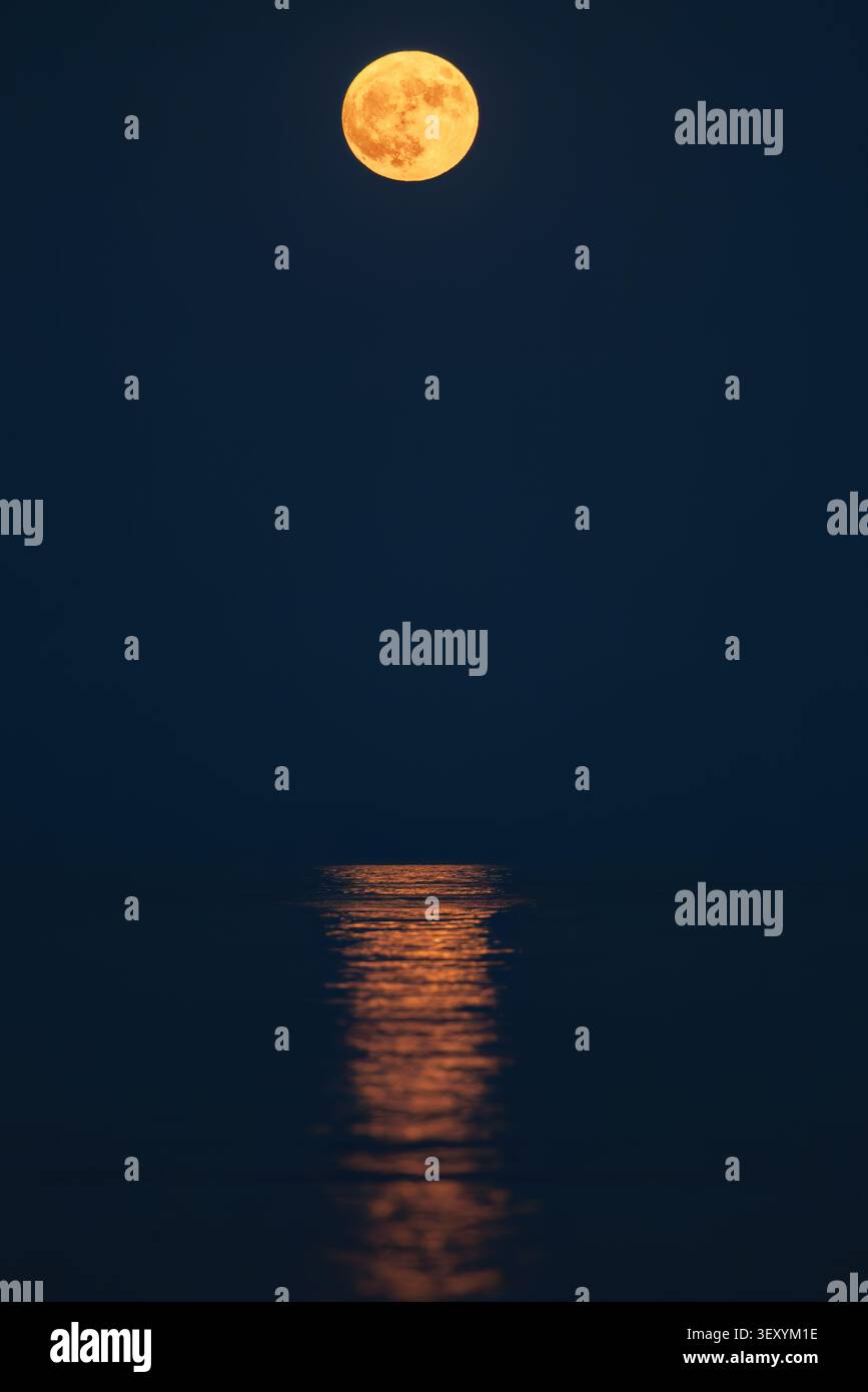 Voller Erdbeermond mit heller Mondpfadspiegelung auf dem Meer bei Nacht Stockfoto