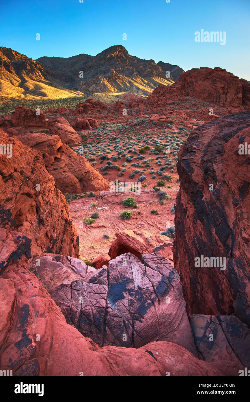 Rote Felsformationen und Wüstenlandschaft im Valley of Fire, Nevada Stockfoto
