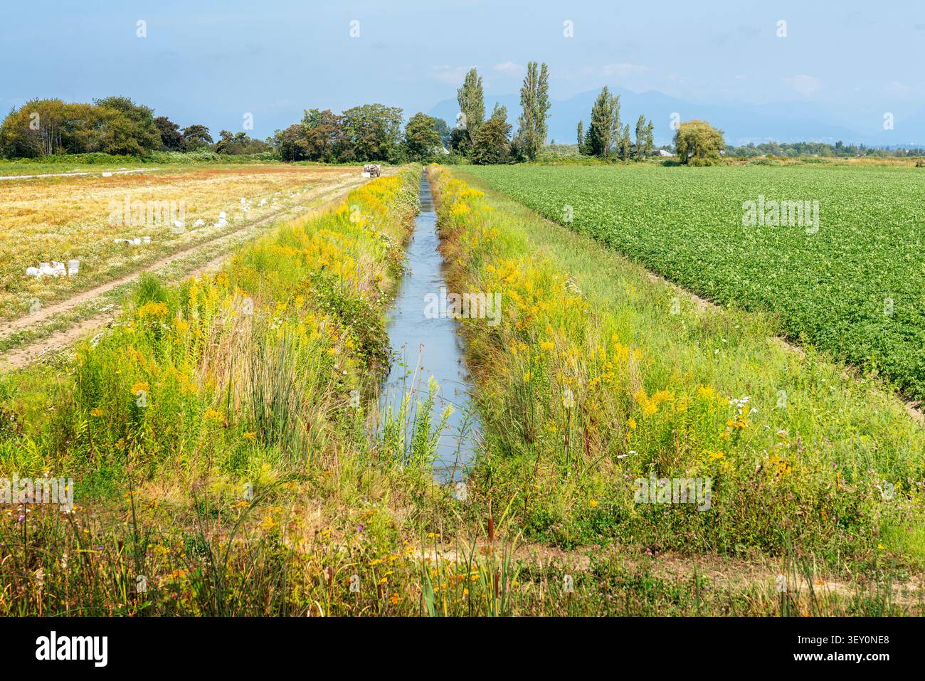 Bewässerungsgraben Wasserfarm Felder Stockfoto
