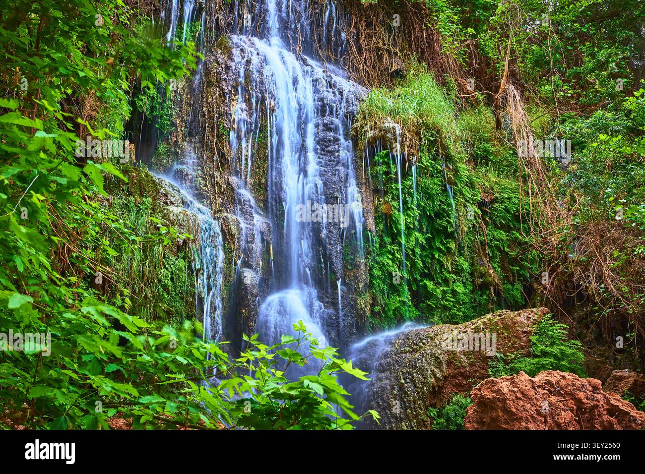 Wasserfall über Mossy Rocks im üppigen Green Forest Arizona Stockfoto