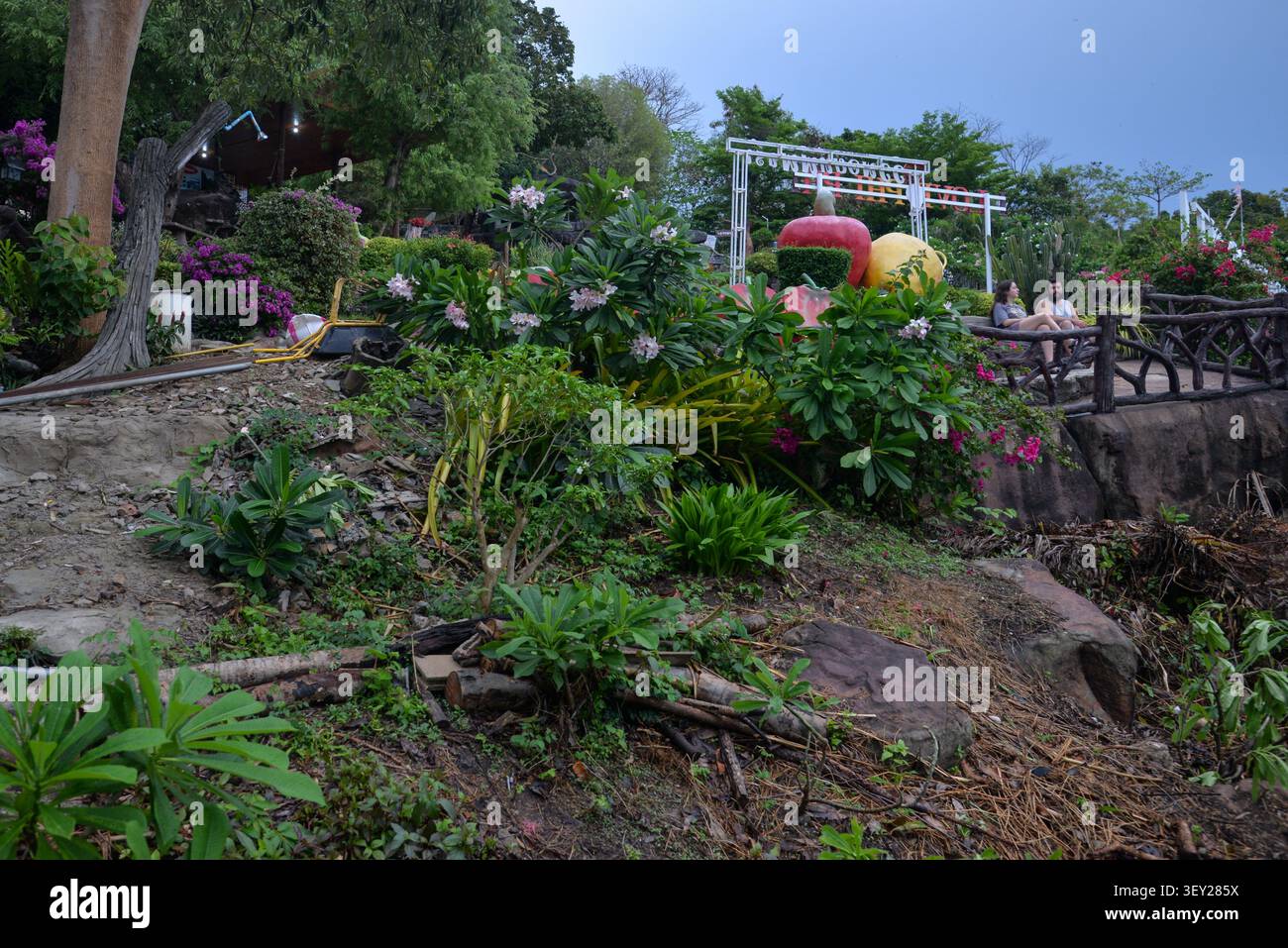 Phi Phi Inseln, Thailand – 18. Mai 2026: Tropischer Garten in der Nähe des Phi Phi Aussichtspunktes am Ko Phi Phi Don Stockfoto