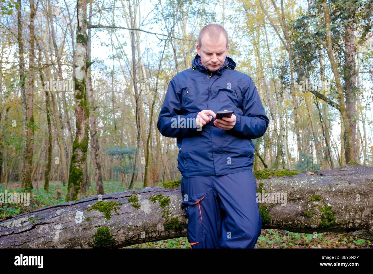 Mann, der in einem Herbstwald mit einem Handy steht und online surft Stockfoto