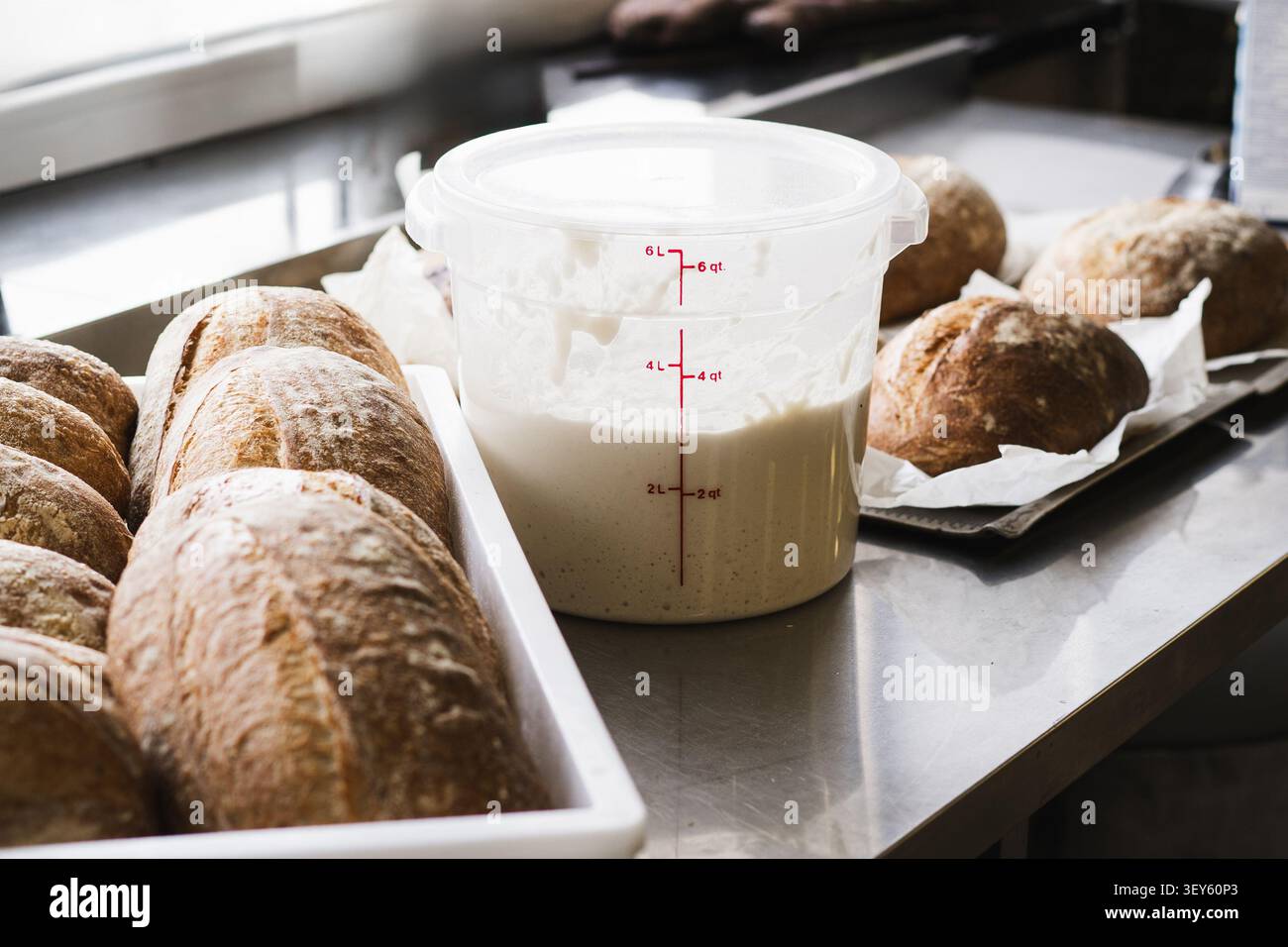 Aktivweizen-Sauerteig-Vorspeise in Behälter mit handwerklichem Brot Stockfoto