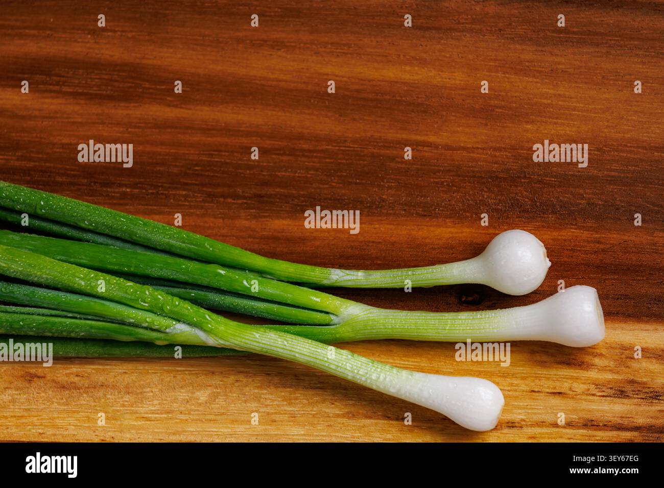 Auf einem horizontalen Nahaufnahme-Foto sind drei frische, junge grüne Zwiebeln (Zwiebeln oder Frühlingszwiebeln) mit leuchtend grünen Stielen und einer kleinen weißen Birne zu sehen Stockfoto