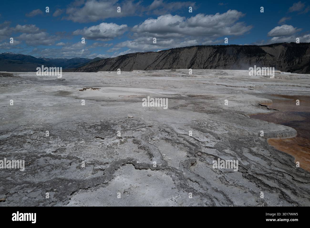 Eine ausgedehnte Fläche von weißen, gerissenen Travertinminerallagerstätten erstreckt sich über die oberen Terrassen von Mammoth Hot Springs, mit weit entfernten dunklen Bergen und Flecken Stockfoto