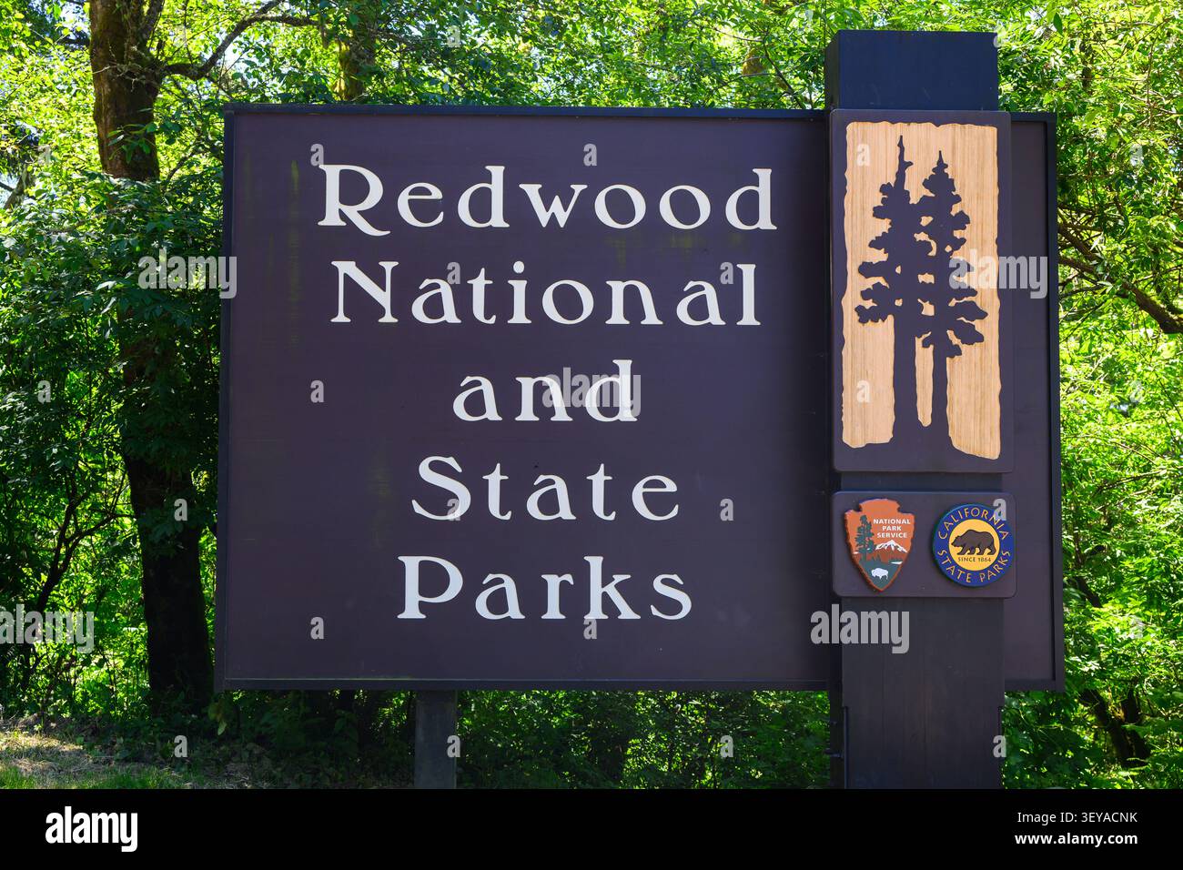 Kalifornien, USA - 12. Juni 2026; Beschilderung für Redwood National und State Parks verwaltet durch National Park Service und California State Parks Stockfoto