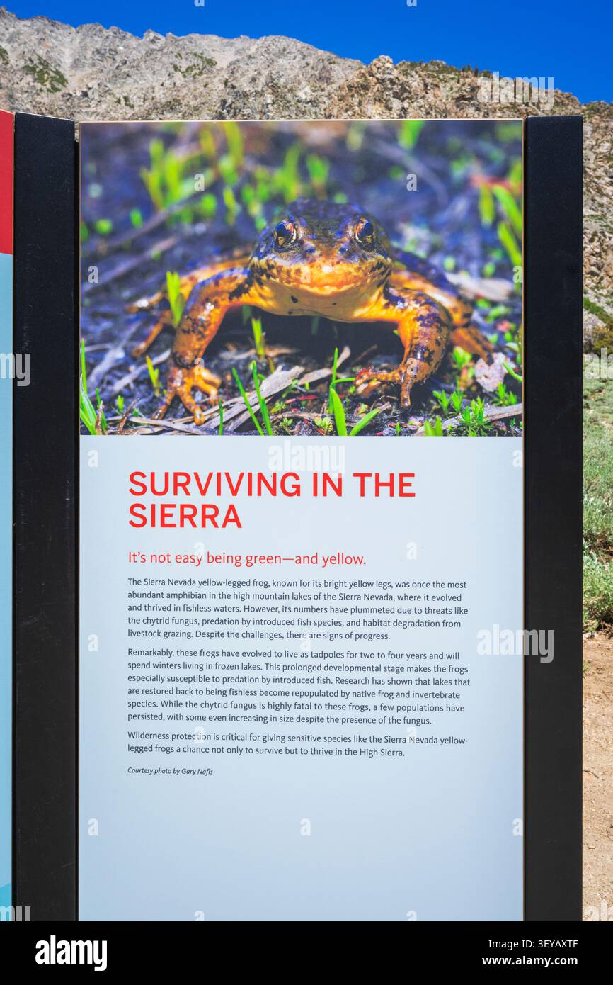 Hinweisschild für den Sierra Nevada Gelbbeinfrosch, John Muir Wilderness, Kalifornien USA Stockfoto