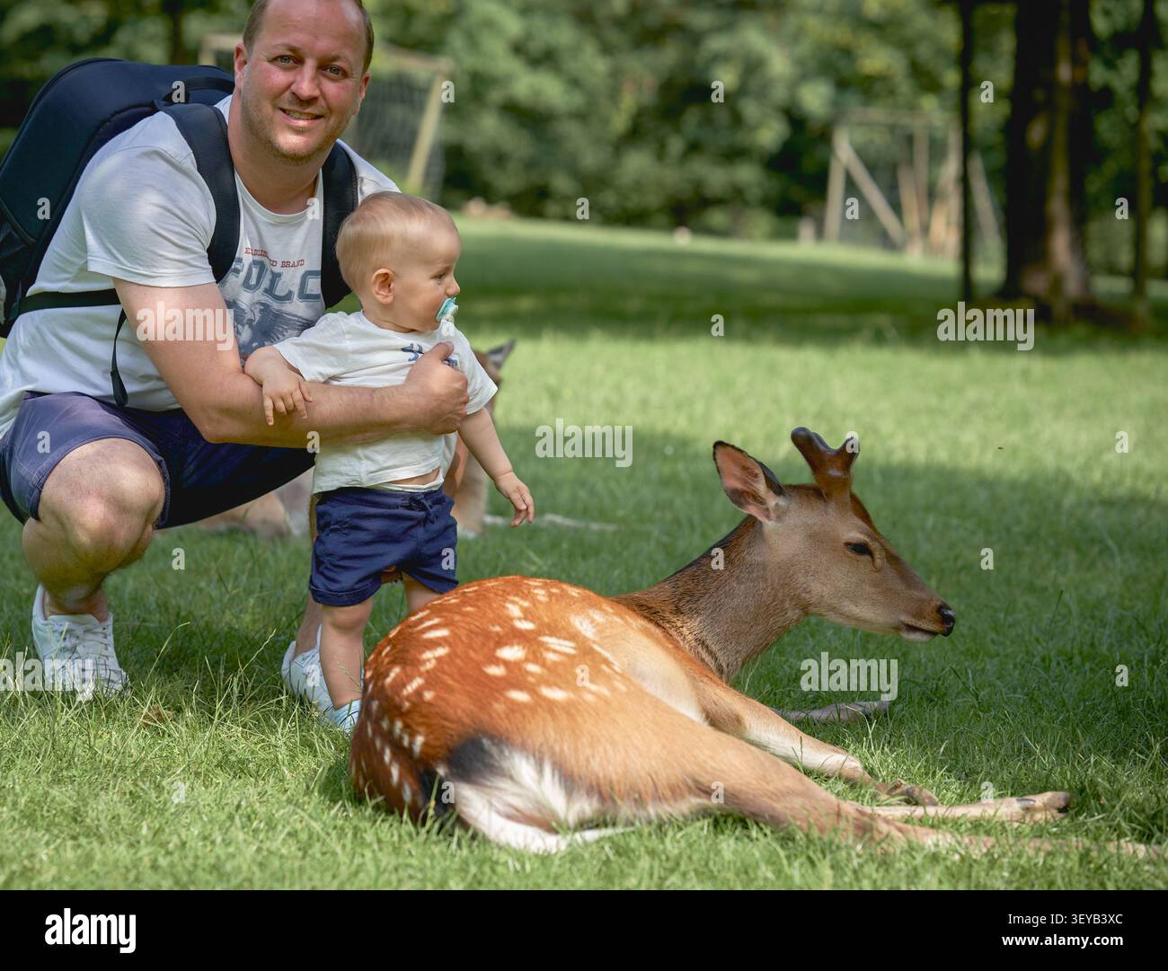 Vater und Sohn sitzen an einem sonnigen, warmen Sommertag in der Nähe eines Hirsches, der auf dem grünen Gras im Knuellwald-Park liegt, in Shorts und T-Shirts. Hohe Qualität Stockfoto