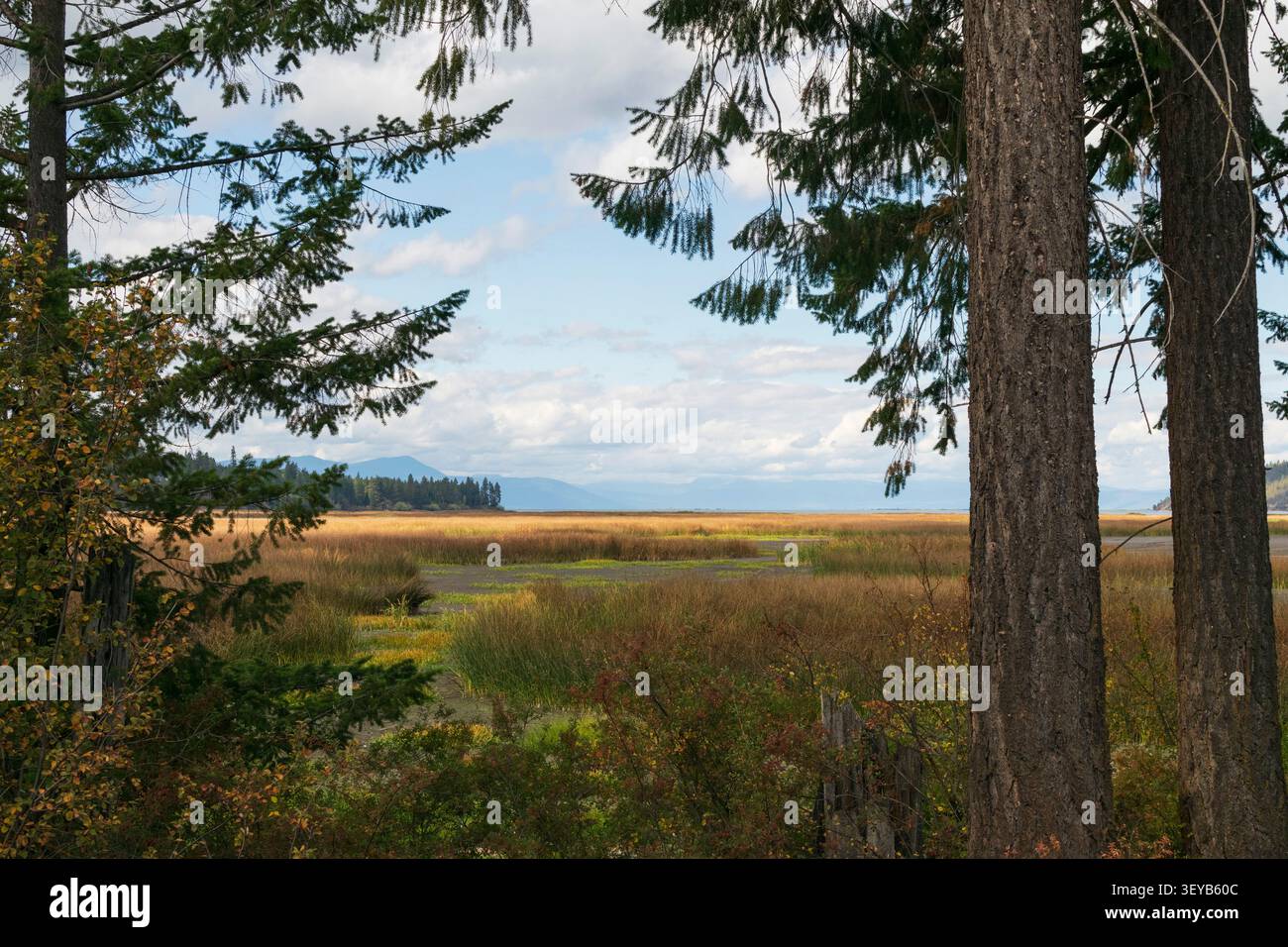 Die Sümpfe der Shoalwater Bay am Klamath Lake sind durch Bäume im Eagle Ridge Park im Klamath County, Oregon, zu sehen. Stockfoto