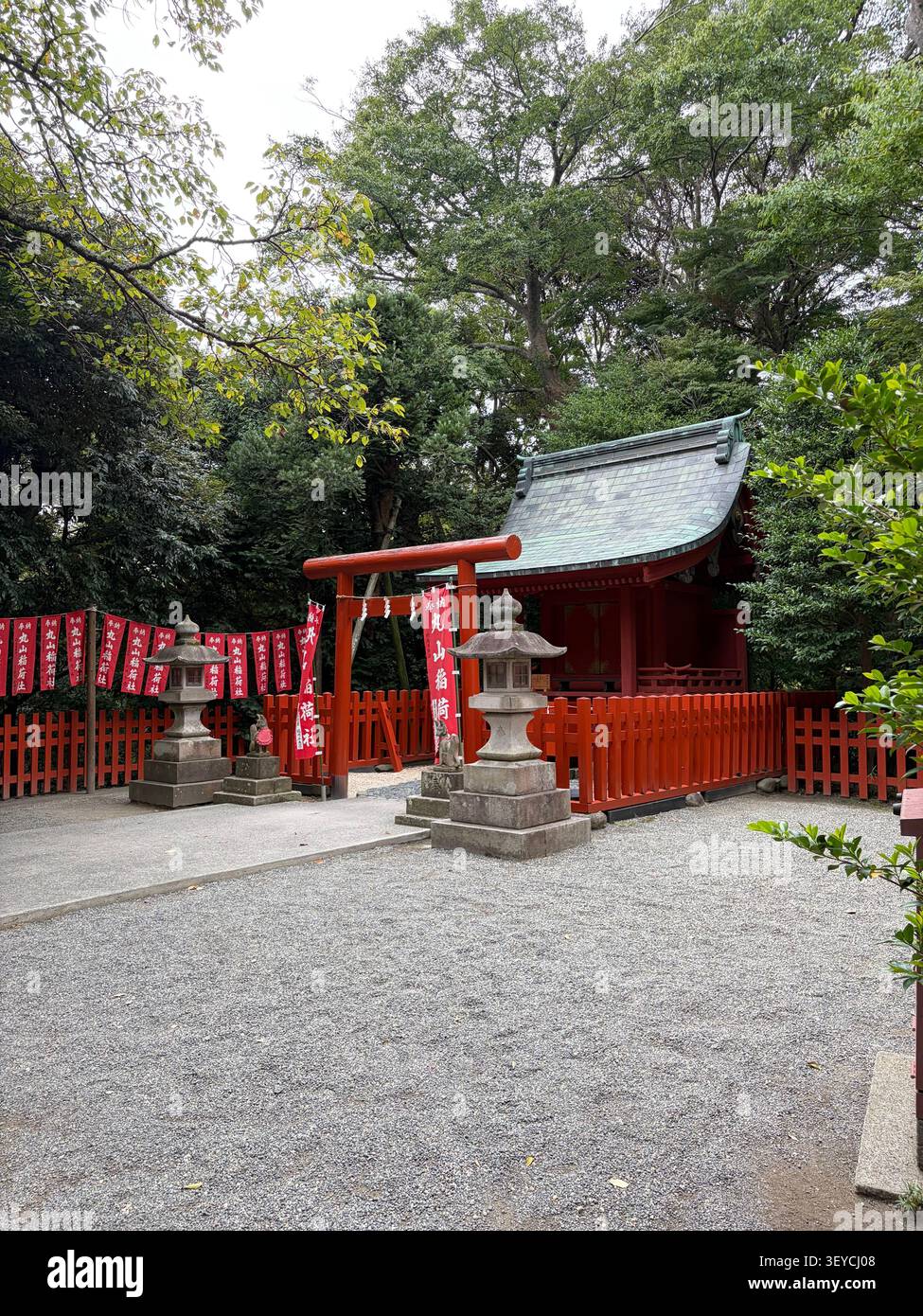 Rote Torii-Tore mit hängenden Bannern, Steinlaternen und Schrein-Gebäude umgeben von üppigen Bäumen an einem Shinto-Schrein in Japan. - Smartphone-aufgenommenes Stockfoto
