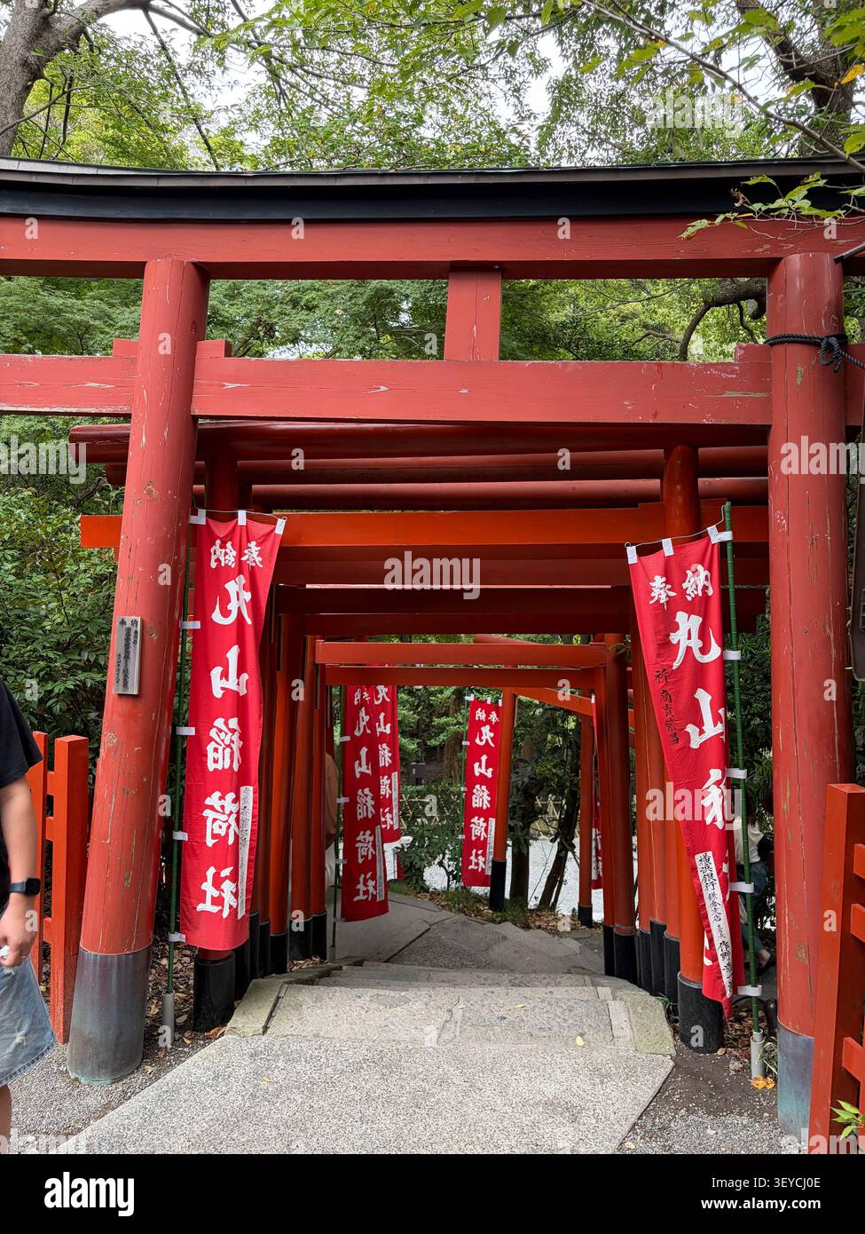 Perspektivischer Blick durch den Korridor mit roten Torii-Toren, geschmückt mit roten Kalligraphie-Bannern an einem japanischen Shinto-Schrein in Japan. - Smartphone-aufgenommenes Stockfoto