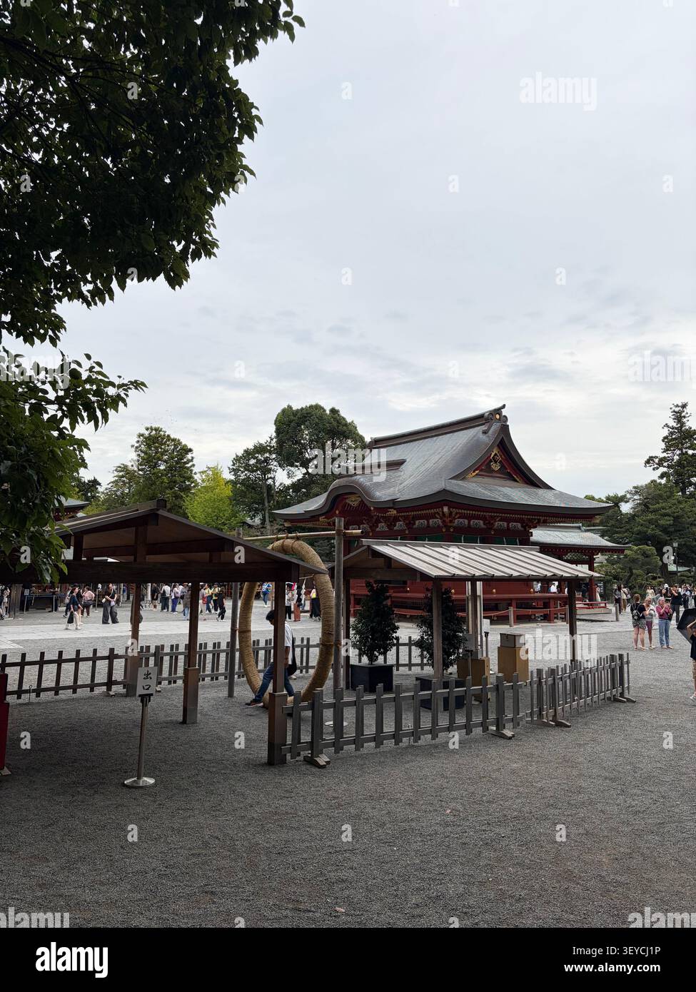 Traditioneller japanischer Shinto-Schrein mit roter Holzarchitektur, großem Shimenawa-Seil, Torii-Tor und Besuchern, Japan. Bedeckter Himmel, üppige Bäume. - Smartphone-aufgenommenes Stockfoto