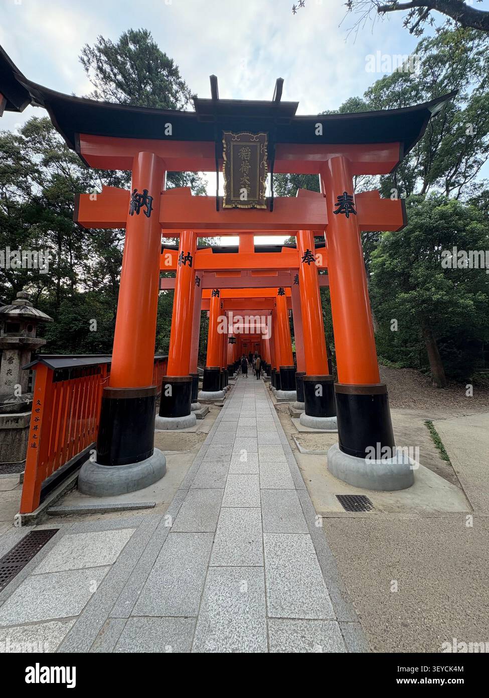 1. August 2025, Kyoto, Japan - Reihe von berühmten, rosa Torii-Toren, die sich in die Perspektive des Fushimi Inari Taisha Shinto-Schreins, Kyoto, Japan, bewegen. - Smartphone-aufgenommenes Stockfoto