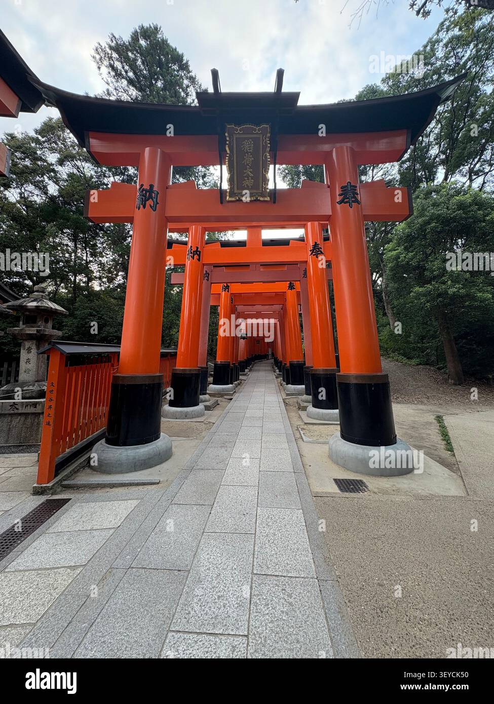 1. August 2025, Japan - Reihe von leuchtenden roten Torii-Toren mit japanischen Kanji-Inschriften, die einen Tunnelweg an einem traditionellen Shinto-Schrein bilden. - Smartphone-aufgenommenes Stockfoto