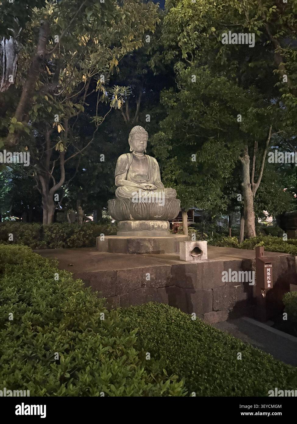 Buddha-Statue aus Stein, beleuchtet bei Nacht in einem üppigen japanischen Tempelgarten mit Steinweg und japanischem Textschild, Japan. - Smartphone-aufgenommenes Stockfoto