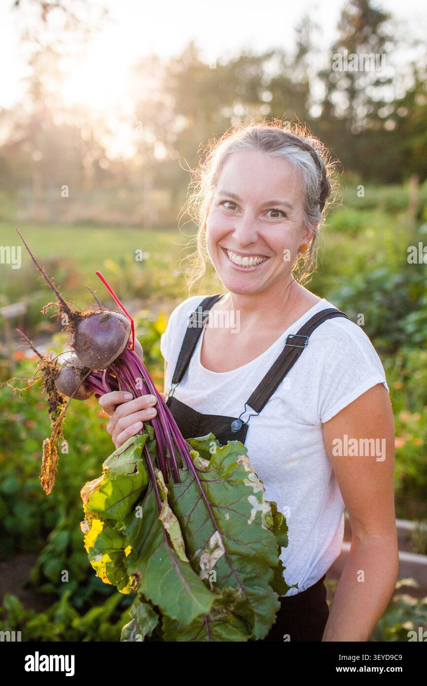Glückliche Frau, die frische Rübenernte bei Sonnenuntergang hält Stockfoto