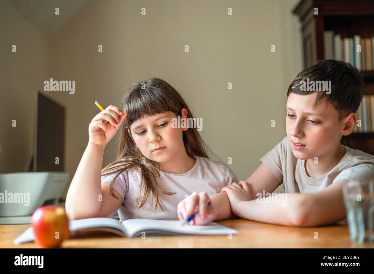 Bruder und Schwester konzentrieren sich auf Schularbeit Stockfoto