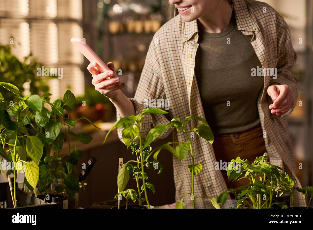 Frau, die ihr Smartphone überprüft, während sie sich um Pflanzen im Haus kümmert Stockfoto