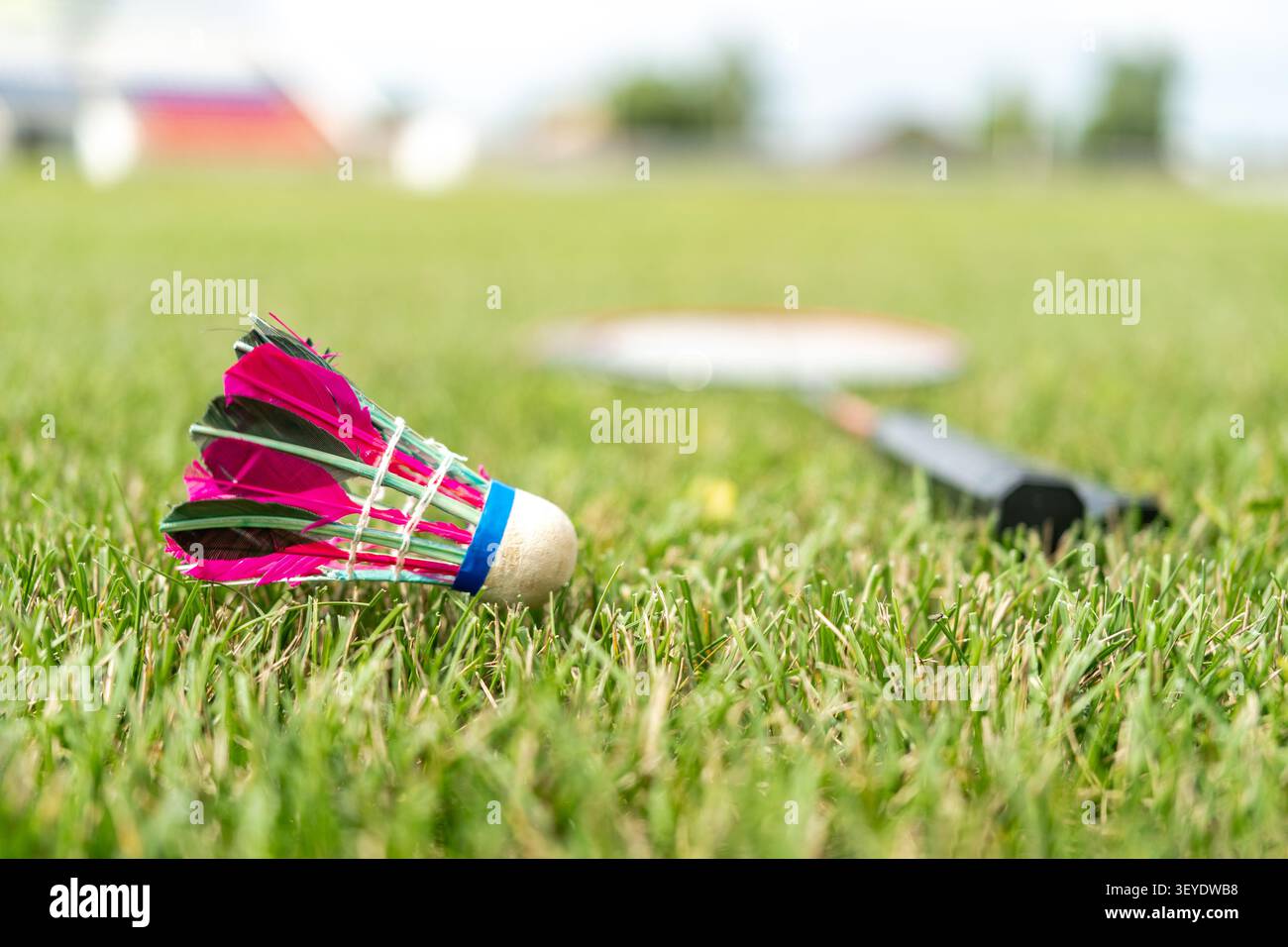 Aktive Freiluftsportarten und Sommerfreizeit. Badmintonschläger und hellrosa Federbälle liegen auf grünem Gras. Stockfoto
