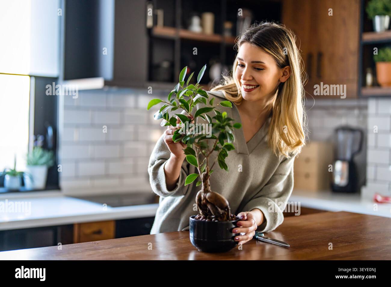 Eine Frau, die Pflanzen im Haus schneidet, Gartenarbeit und Entspannung zu Hause genießt, friedliches Wochenende Stockfoto
