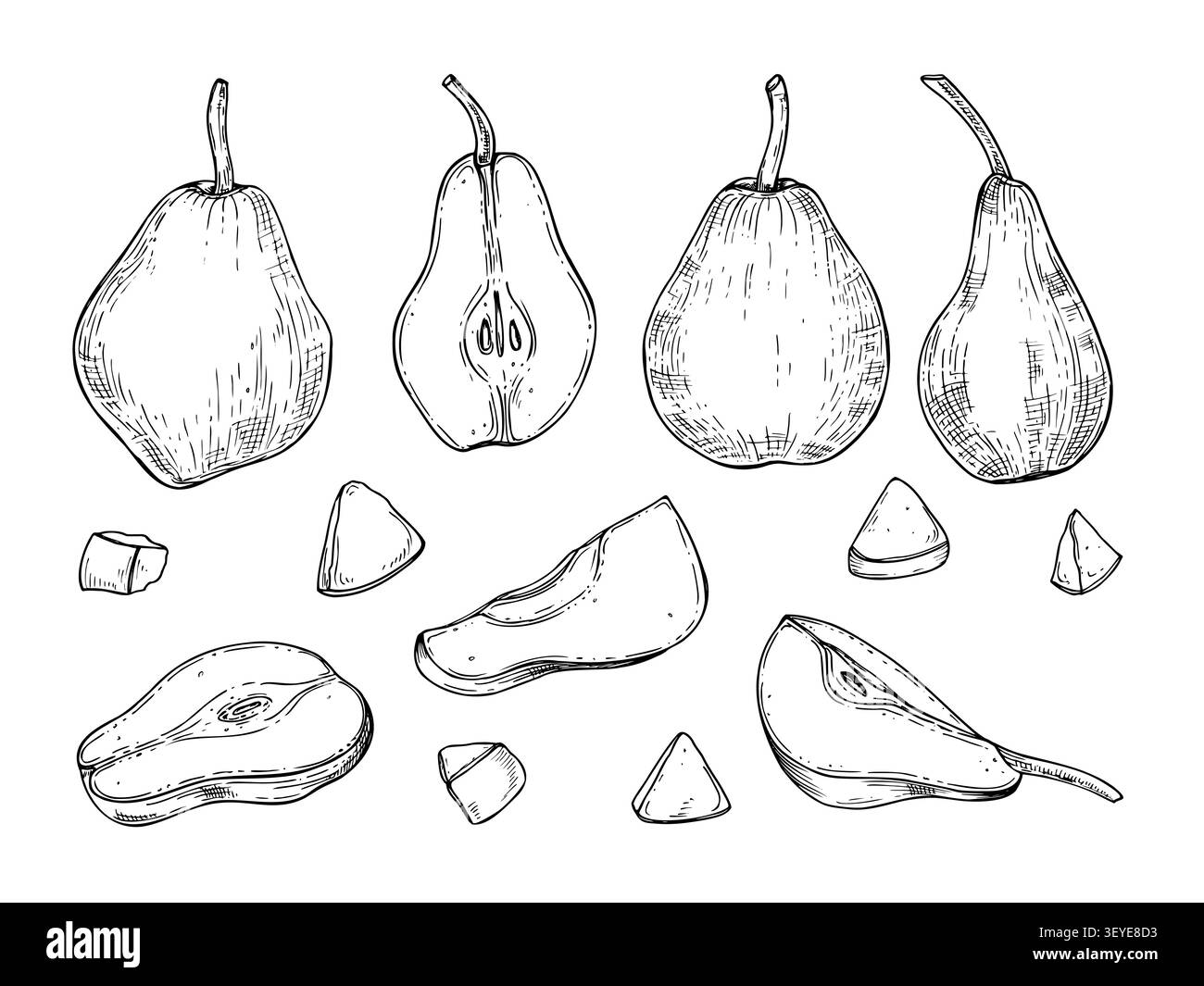 Birnenfrucht-Set mit ganzen und in Scheiben geschnittenen Stücken handgezeichneter Ätzung. Frische organische Früchte Vektor isolierte Illustration. Kulinarische Elemente Stock Vektor