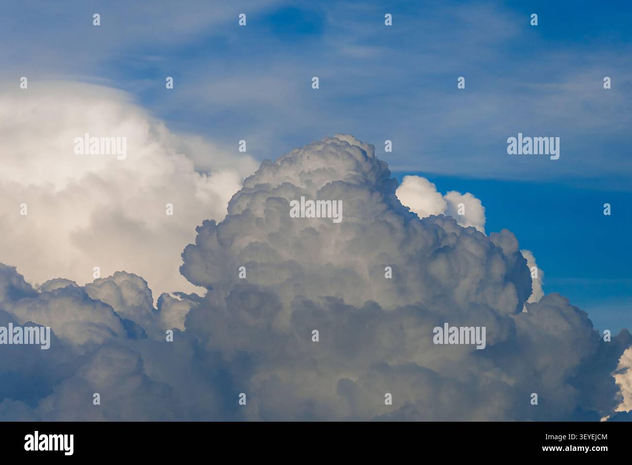 Atemberaubende und dichte Formation von flauschigen Wolken mit weißen und grauen Texturen unter einem hellen blauen Himmel während des Tages. Stockfoto
