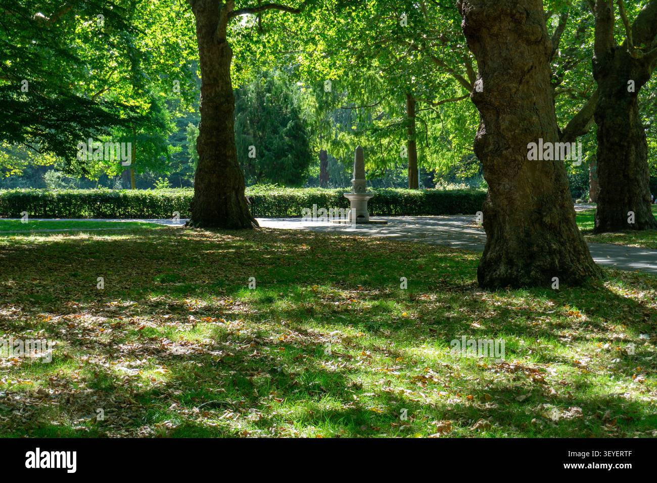 Ein Blick durch das schattige Blätterdach zur Granit-Trinkfontäne im Southwark Park, London SE16, UK Stockfoto