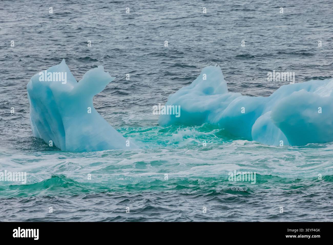 Ein eisiger Eisberg, der schmilzt und Wellen ausgesetzt ist, entlang der Bonavista-Halbinsel, Neufundland, Kanada Stockfoto