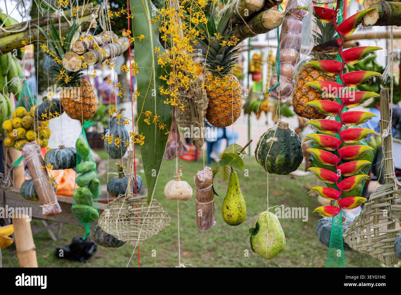 Landwirtschaftsfest mit verschiedenen tropischen Früchten, Gemüse und natürlichen Produkten, die an Bambusstrukturen hängen, und der lokalen Ernte Stockfoto