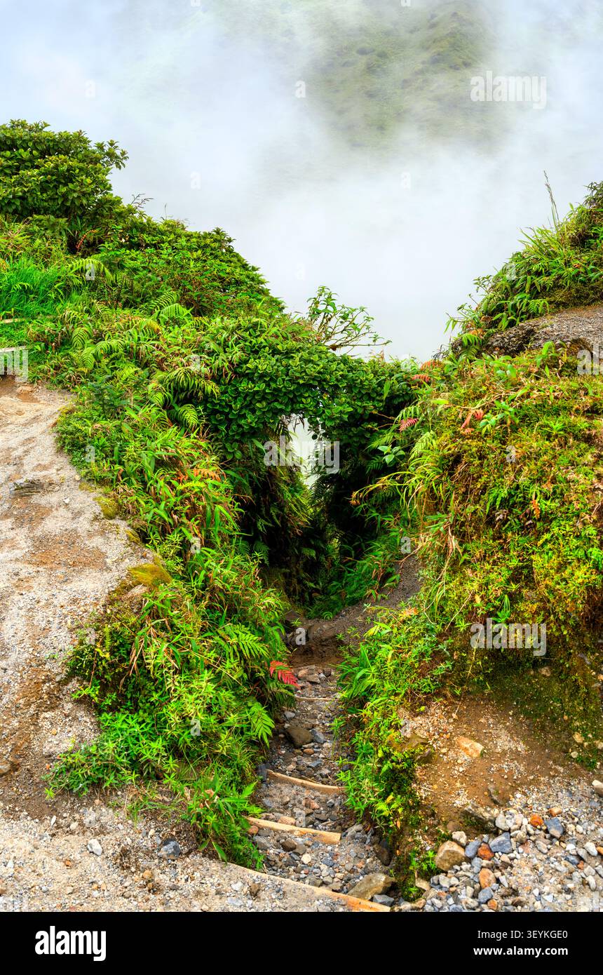 Malerischer Wanderweg mit Holztreppen, die in den Nebel am Mount Pelee in Martinique hinabsteigen, umgeben von üppiger tropischer Vegetation Stockfoto