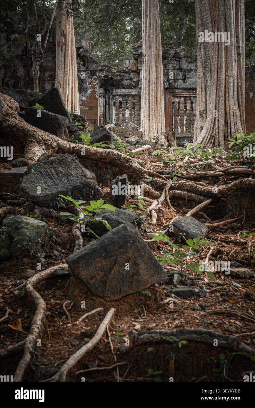 Kambodschanische Schönheit Stockfoto
