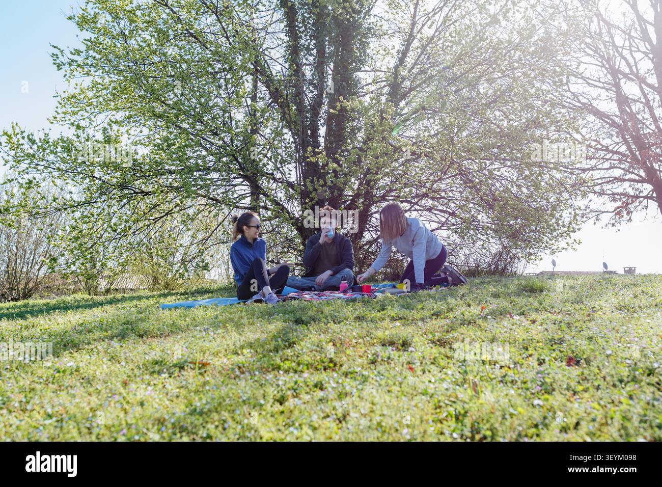 Drei erwachsene Freunde genießen ein Picknick zusammen unter einem belaubten Baum in einem sonnigen Park Stockfoto