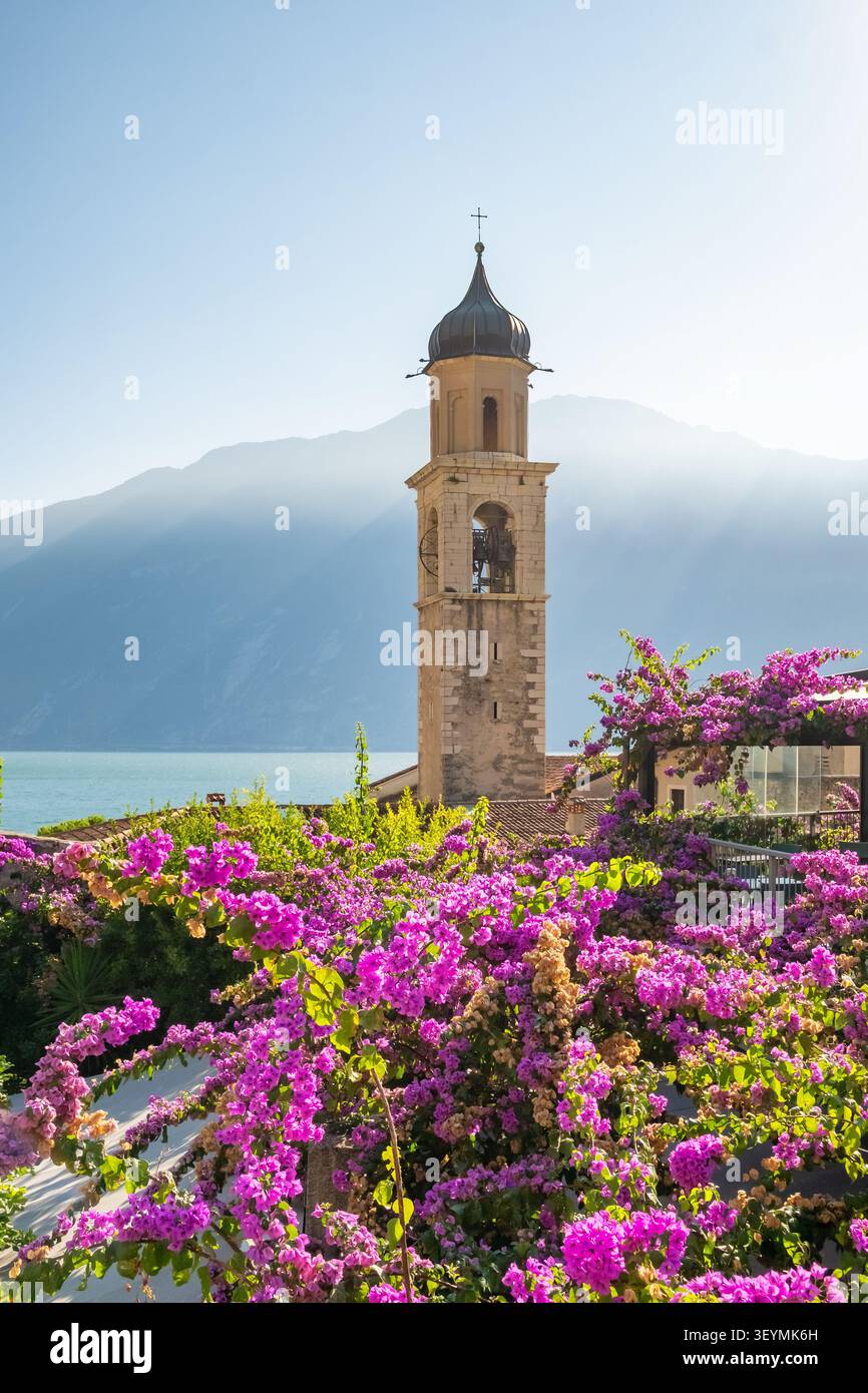 Kirchturm und Bougainvillea Blumen, Limone sul Garda, Italien Stockfoto