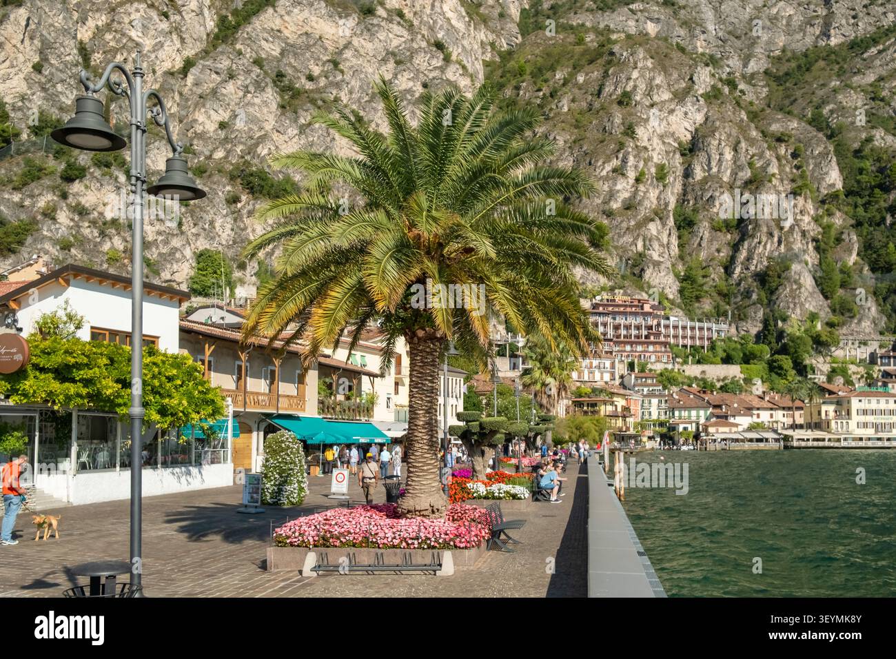 Uferpromenade mit Palme, Limone sul Garda, Italien Stockfoto