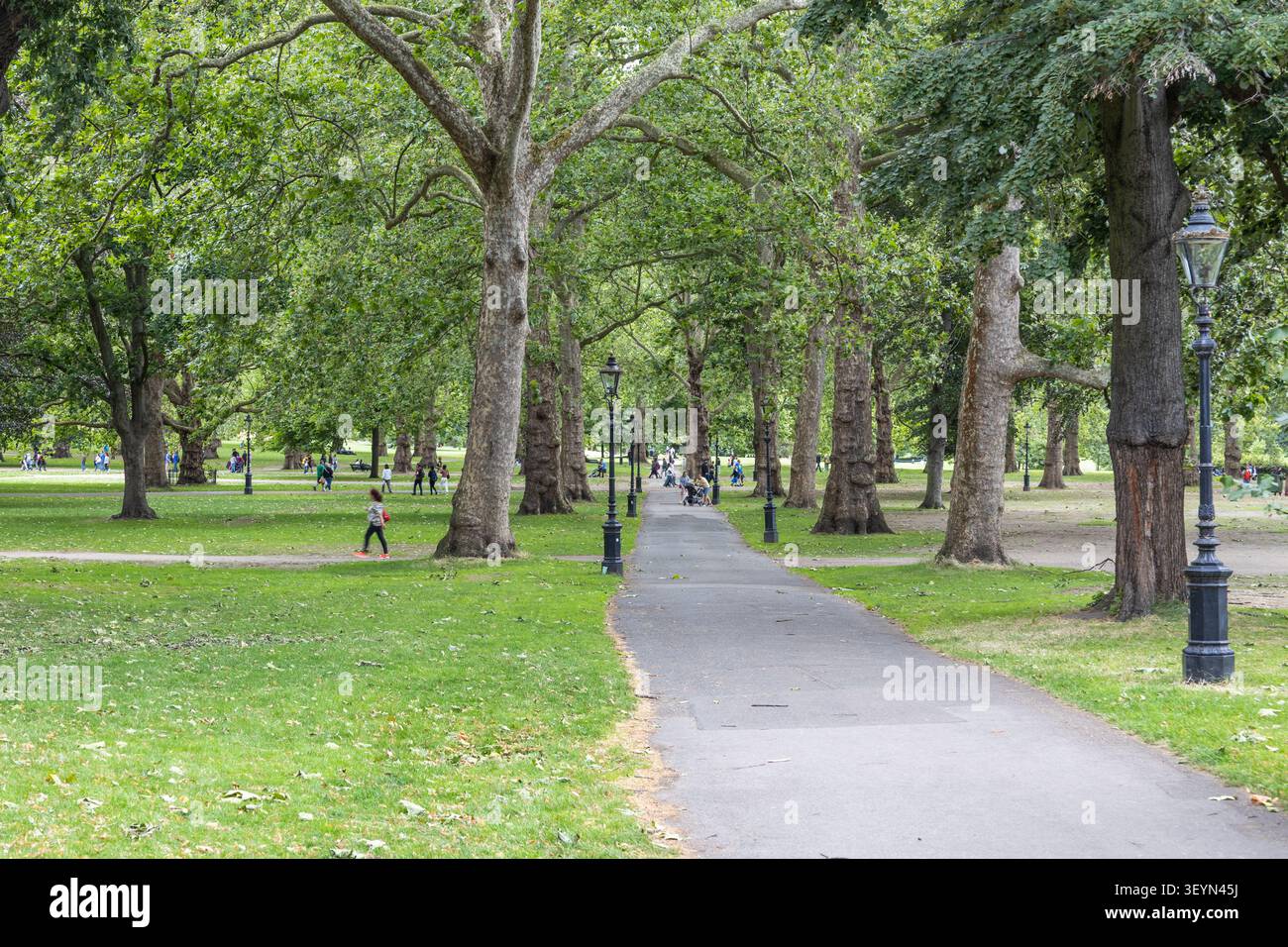 Gepflasterter Weg durch einen üppig grünen Stadtpark im Sommer Stockfoto