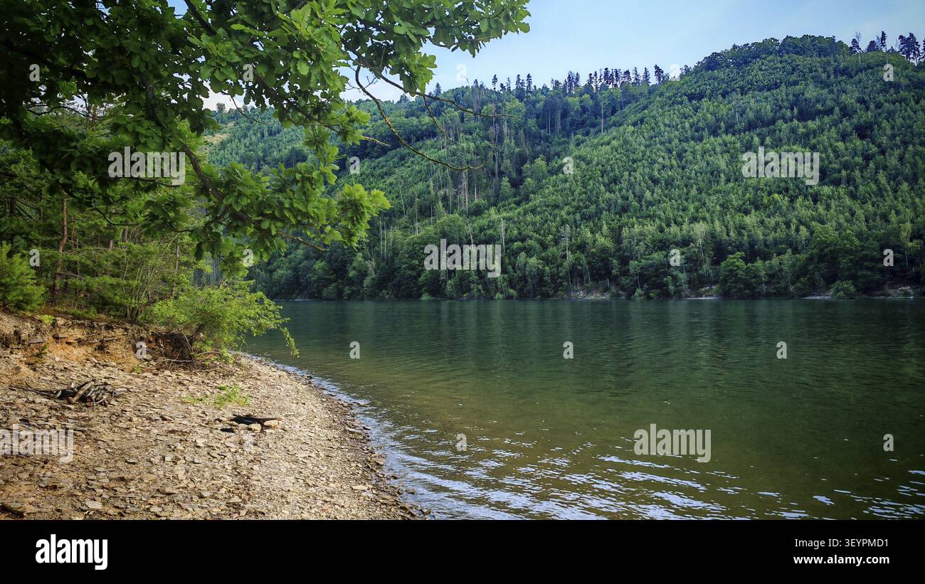 Ein ruhiger See umgeben von grünen Bergen und Wäldern, Badegebiet Hohenwarte Stausee Weg, Naturpark Thüringer Schiefergebirge, obere Saale Stockfoto